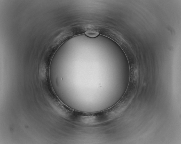 X0000111530266200907141534