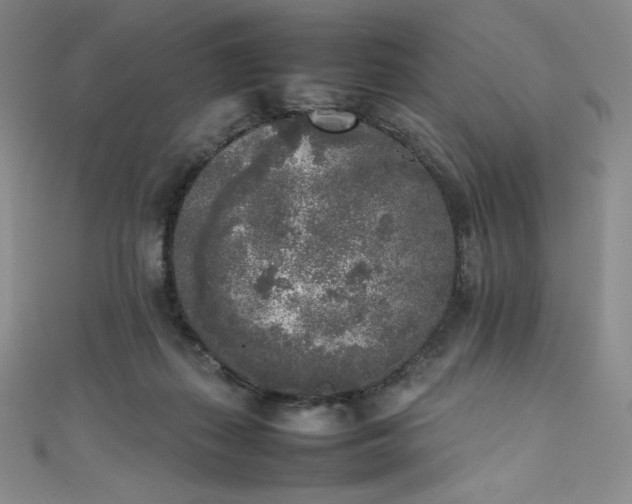 X0000111530267200907141534