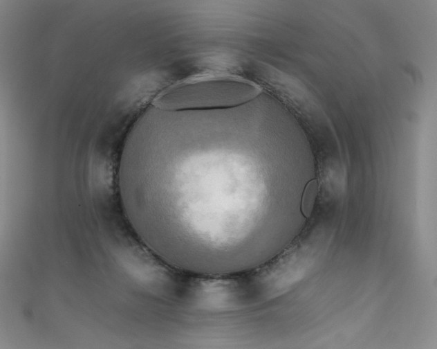 X0000111530268200907141534