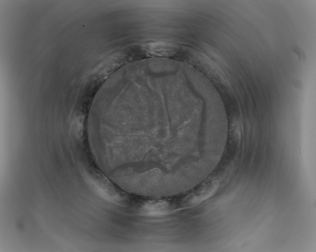 X0000111530271200907141534