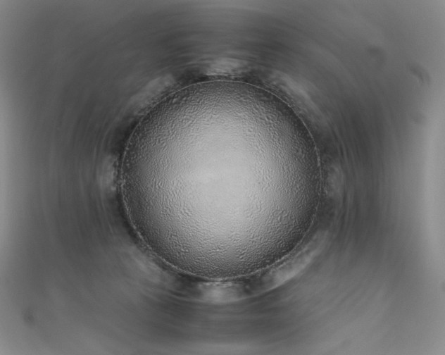 X0000111530273200907141534