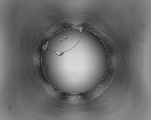 X0000111530274200907141534