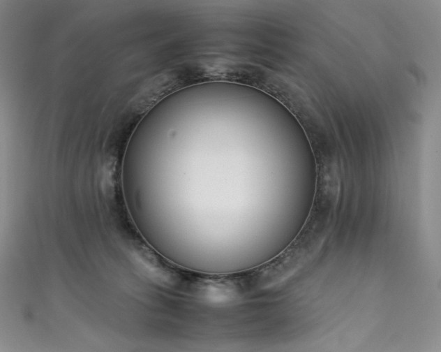 X0000111530275200907141534