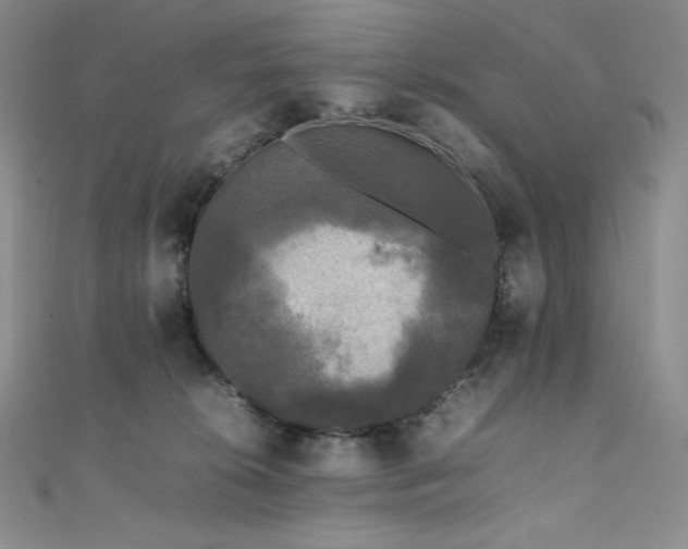 X0000111530276200907141534