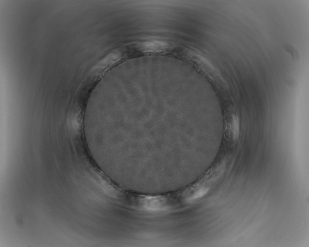 X0000111530277200907141534