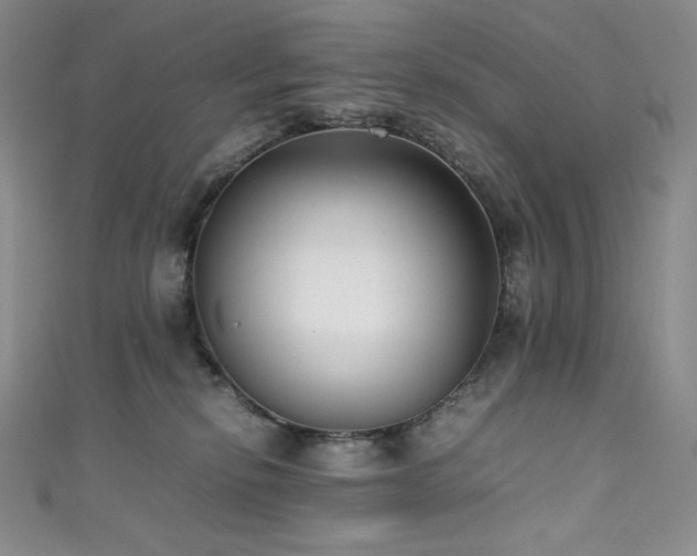 X0000111530278200907141534