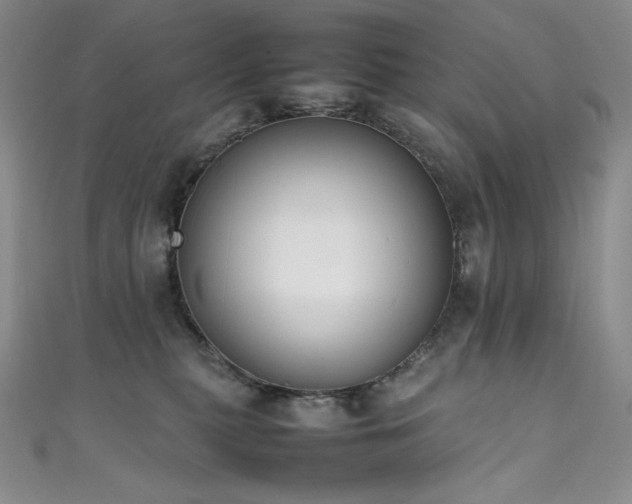 X0000111530279200907141534