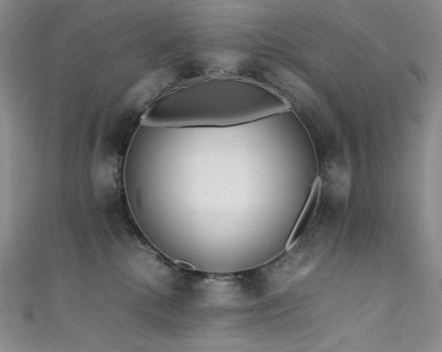 X0000111530280200907141534