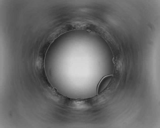 X0000111530283200907141534