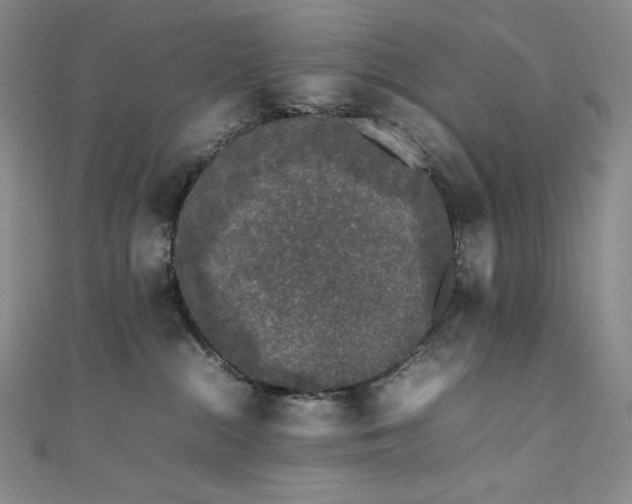 X0000111530284200907141534