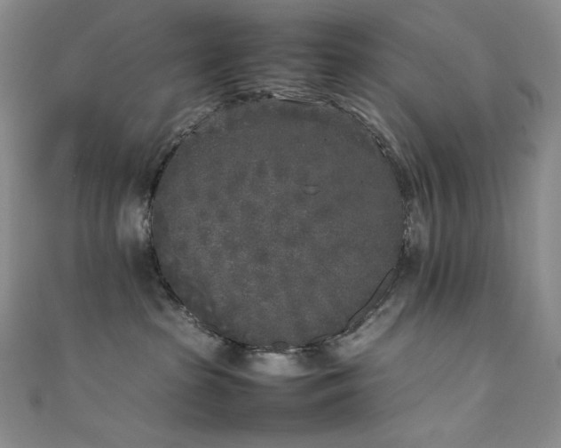 X0000111530285200907141534