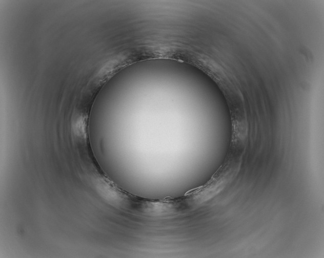 X0000111530286200907141534