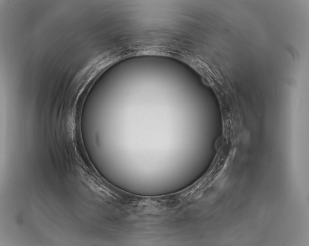 X0000111530290200907141533