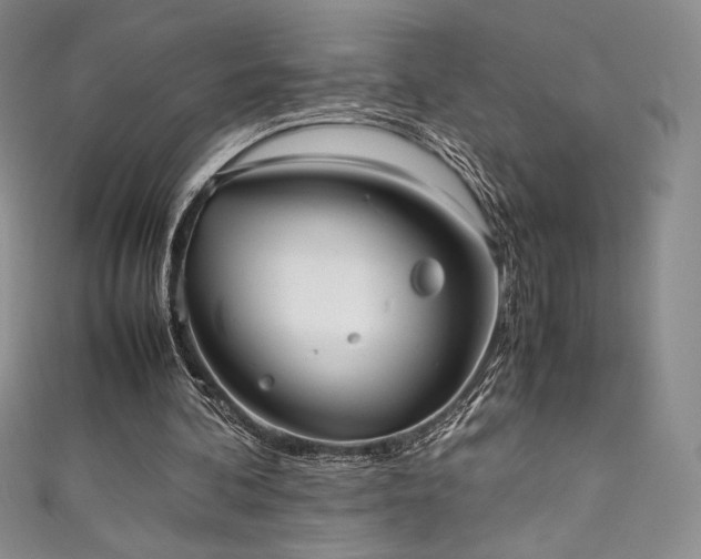 X0000111530292200907141533