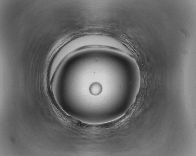 X0000111530293200907141533