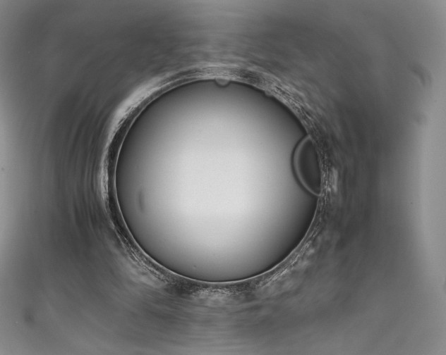 X0000111530294200907141533