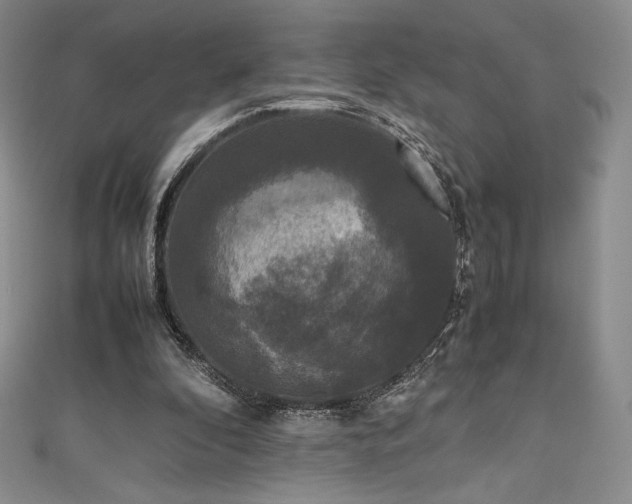 X0000111530296200907141533