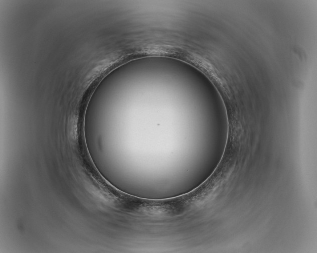 X0000111530299200907141533