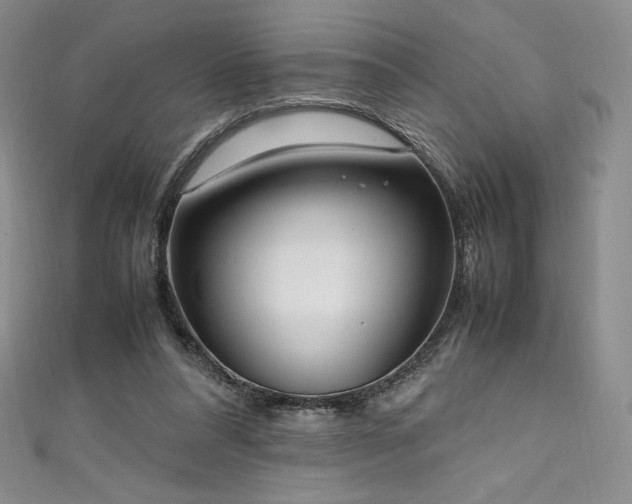 X0000111530304200907141533