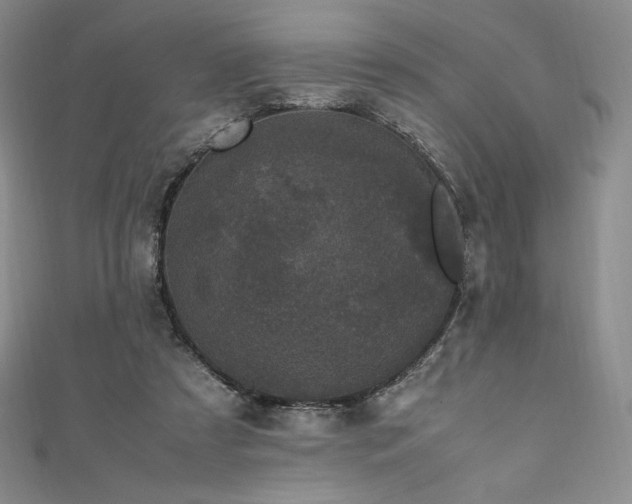 X0000111530305200907141533