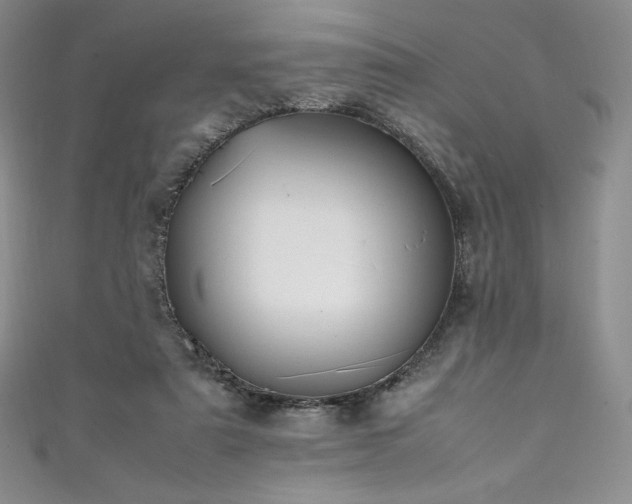 X0000111530307200907141533