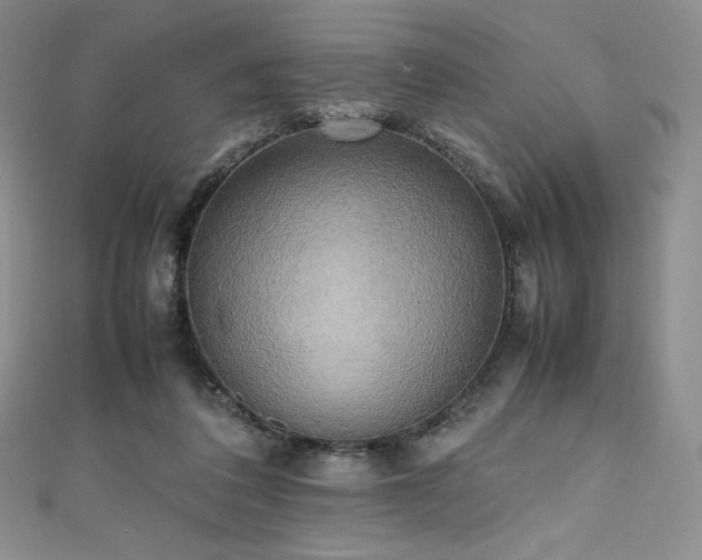 X0000111530308200907141533