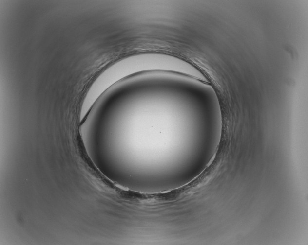 X0000111530309200907141533