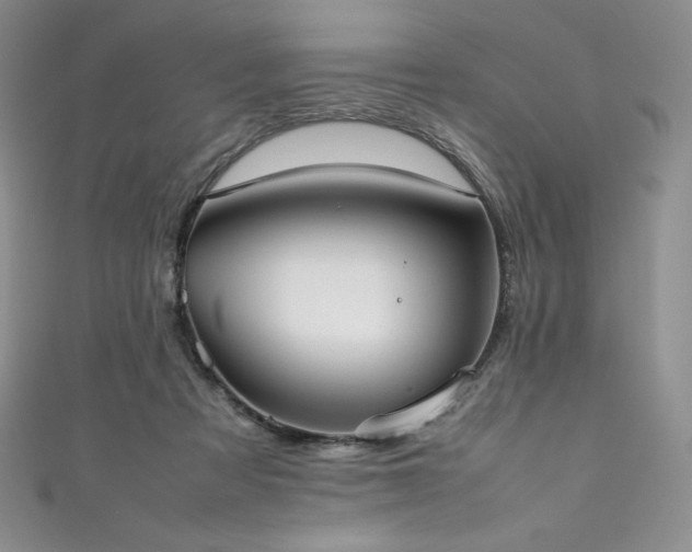 X0000111530313200907141533