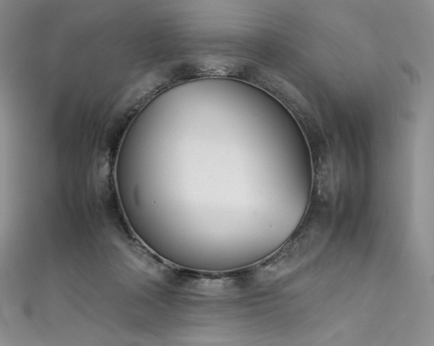 X0000111530314200907141533