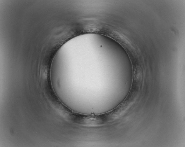 X0000111530315200907141533