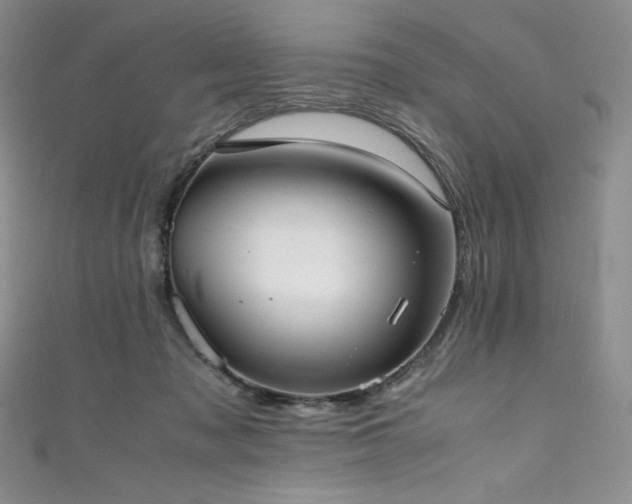 X0000111530317200907141533