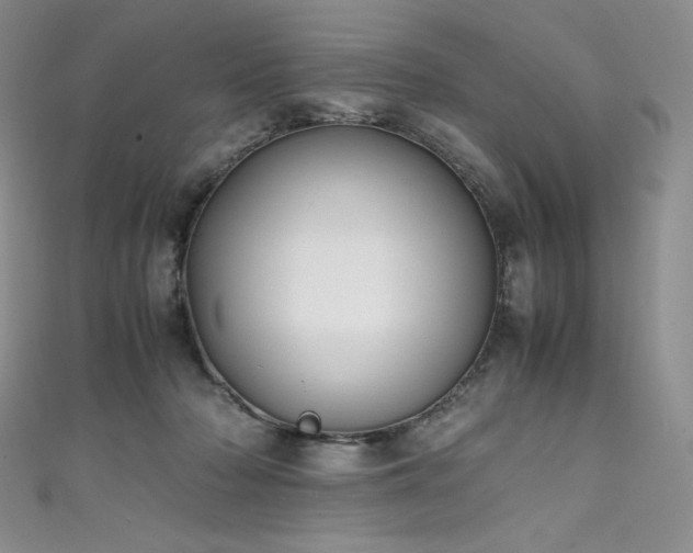 X0000111530318200907141533