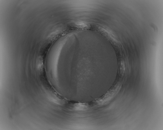 X0000111530320200907141533