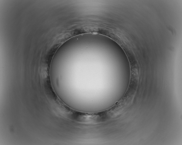 X0000111530323200907141533