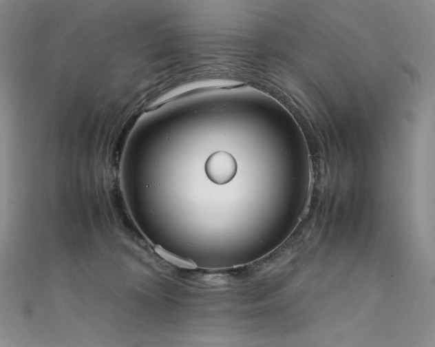 X0000111530324200907141533