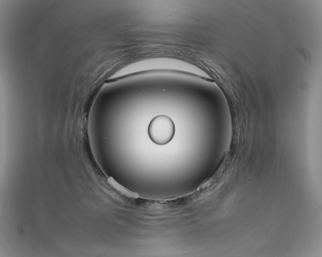 X0000111530325200907141533