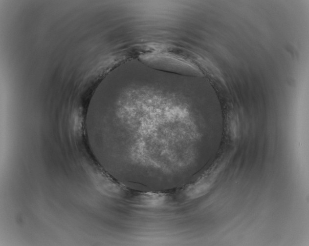 X0000111530328200907141533