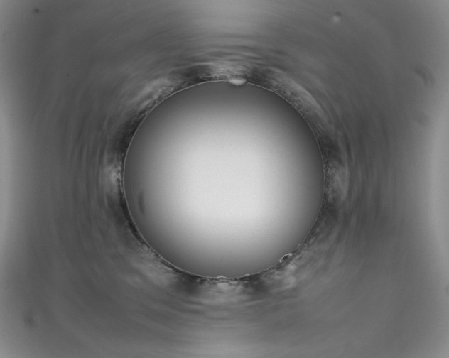 X0000111530329200907141533