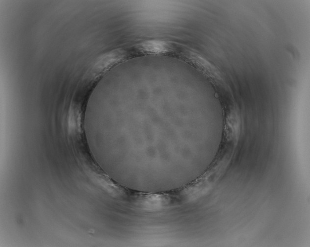 X0000111530330200907141533