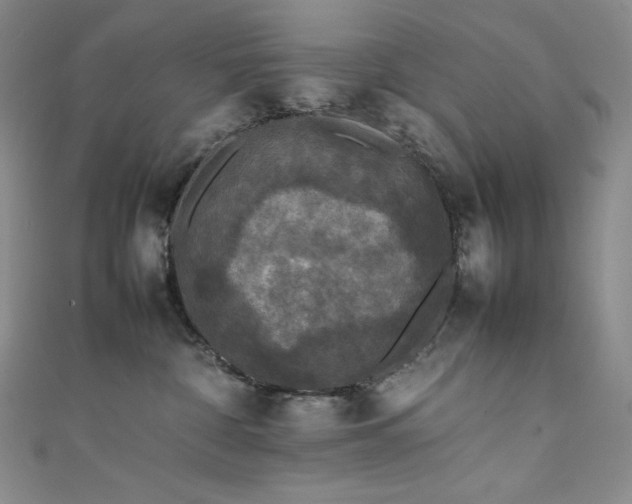 X0000111530332200907141533