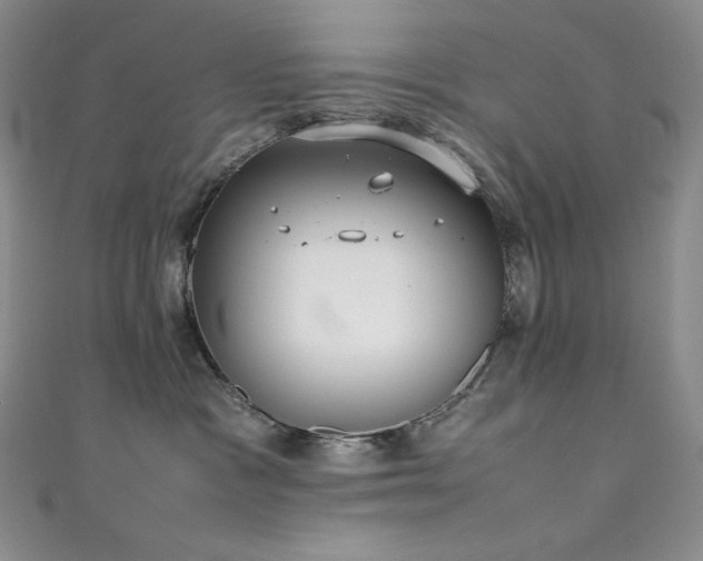 X0000111530333200907141533