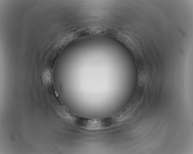 X0000111530335200907141533