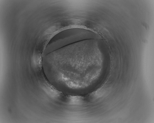 X0000111530336200907141533