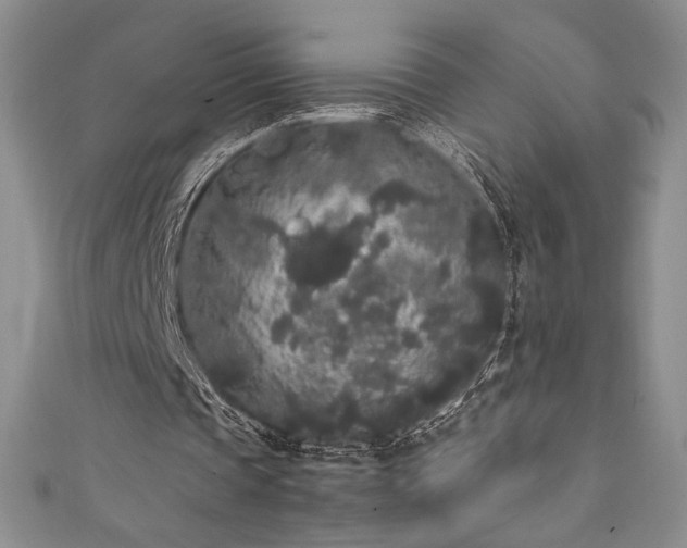 X0000111530337200907141532