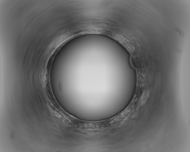 X0000111530338200907141532