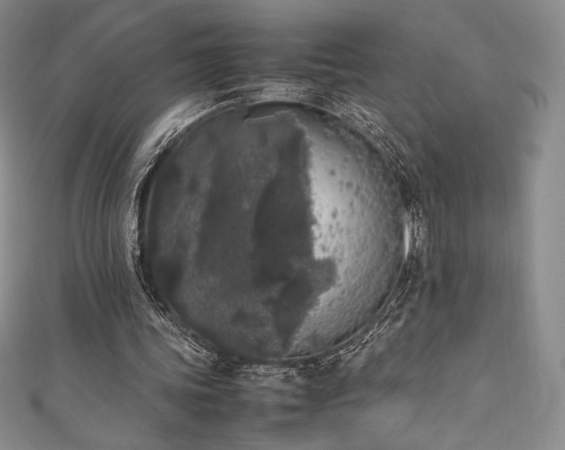 X0000111530339200907141532