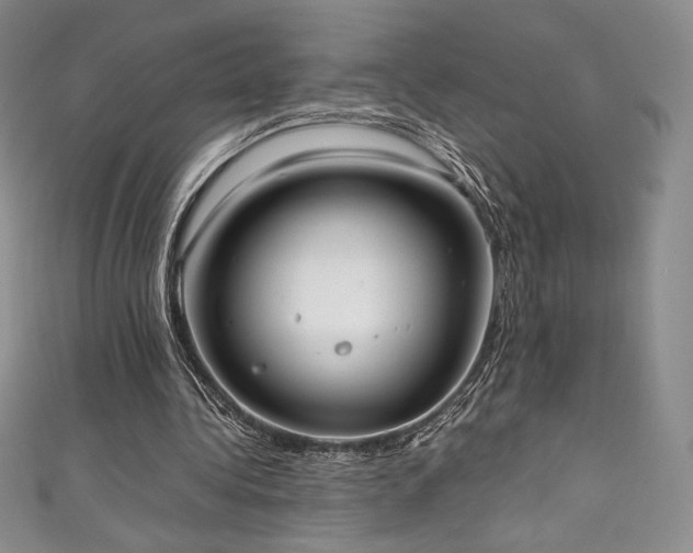 X0000111530340200907141532