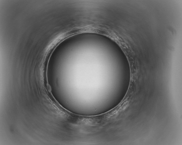 X0000111530341200907141532