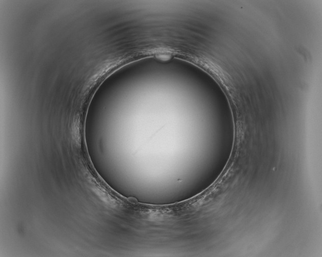 X0000111530345200907141532