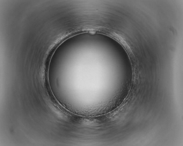 X0000111530346200907141532